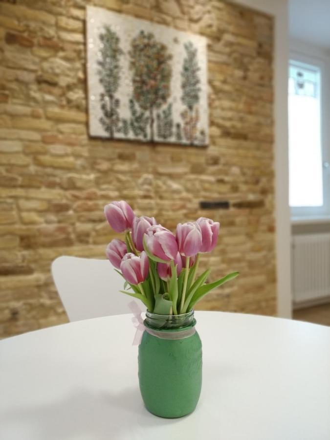 B&B Dimora Damiani Montefiore dellʼAso Eksteriør billede